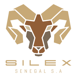 Silex_Logo_1_Zeichenfläche 1 Kopie 21